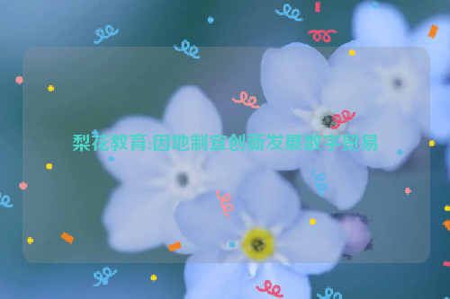 梨花教育:因地制宜创新发展数字贸易