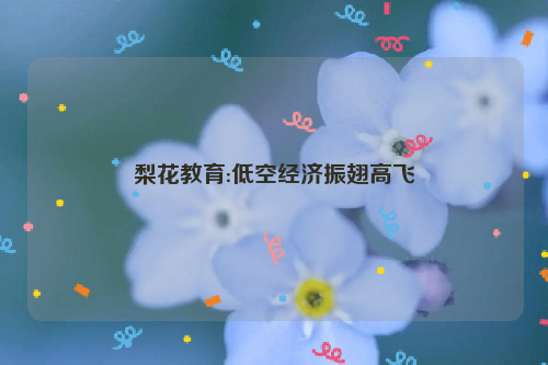 梨花教育:低空经济振翅高飞
