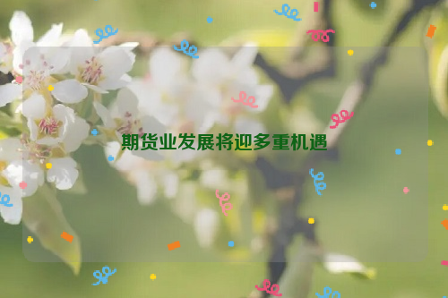 期货业发展将迎多重机遇