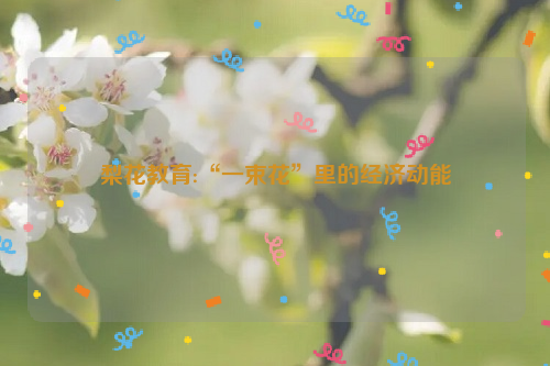 梨花教育:“一束花”里的经济动能