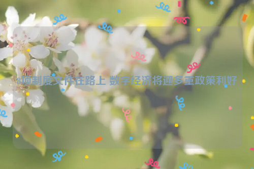 8项制度文件在路上 数字经济将迎多重政策利好