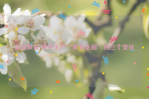 梨花教育:种子生产“黄金走廊”的三个变化