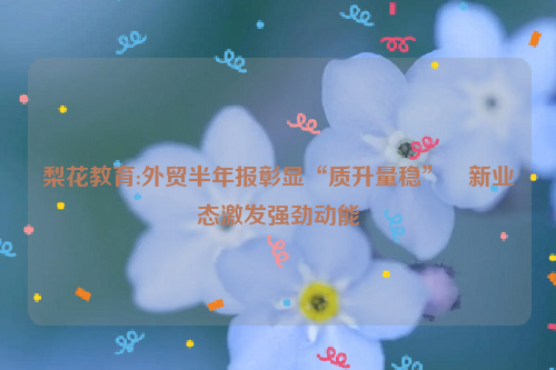 梨花教育:外贸半年报彰显“质升量稳”　新业态激发强劲动能