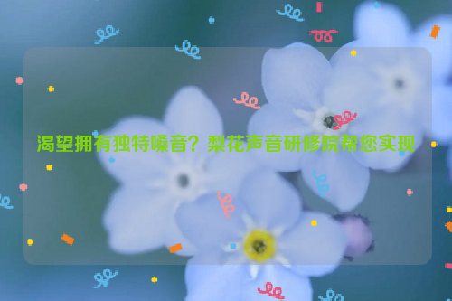 渴望拥有独特嗓音？梨花声音研修院帮您实现