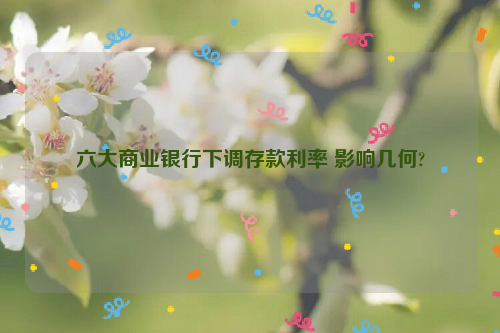 六大商业银行下调存款利率 影响几何?