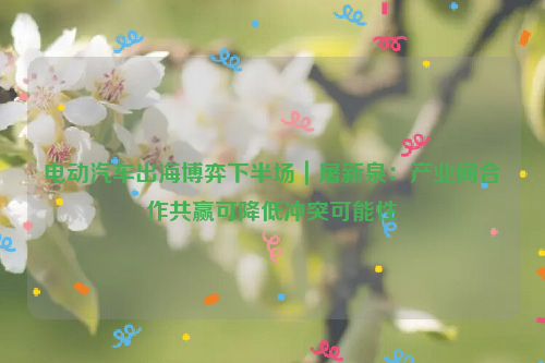 电动汽车出海博弈下半场｜屠新泉：产业间合作共赢可降低冲突可能性