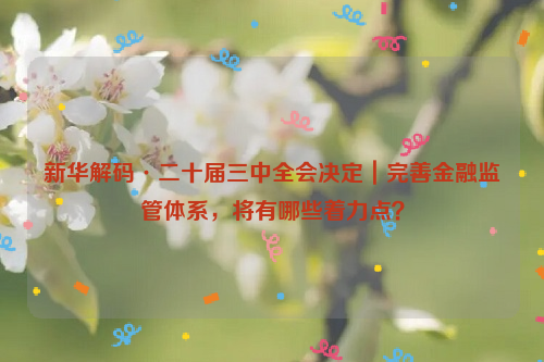 新华解码·二十届三中全会决定｜完善金融监管体系，将有哪些着力点？