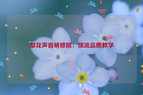 梨花声音研修院：顶流品质教学