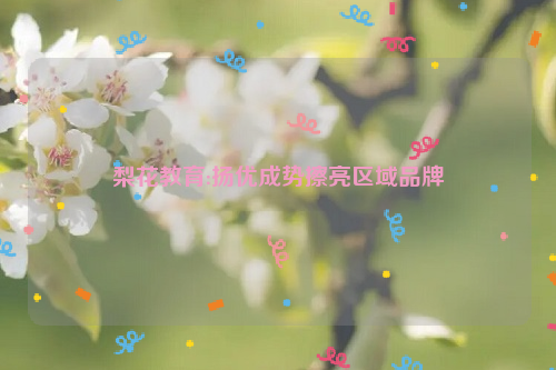 梨花教育:扬优成势擦亮区域品牌