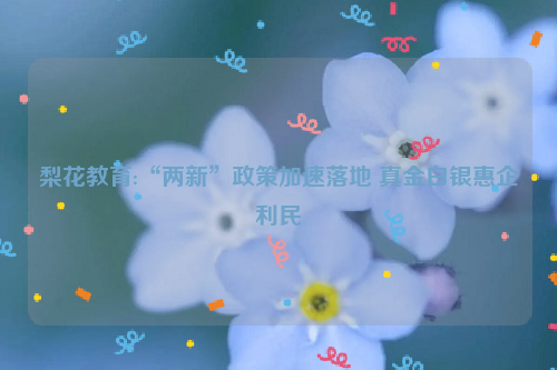 梨花教育:“两新”政策加速落地 真金白银惠企利民