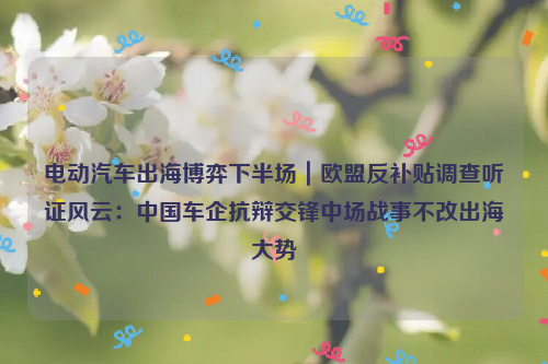 电动汽车出海博弈下半场｜欧盟反补贴调查听证风云：中国车企抗辩交锋中场战事不改出海大势