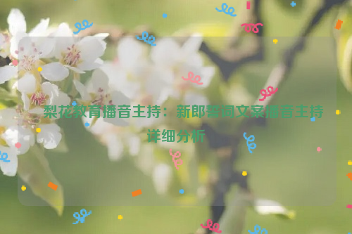 ​梨花教育播音主持：新郎誓词文案播音主持详细分析