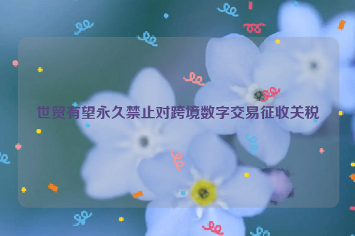 世贸有望永久禁止对跨境数字交易征收关税